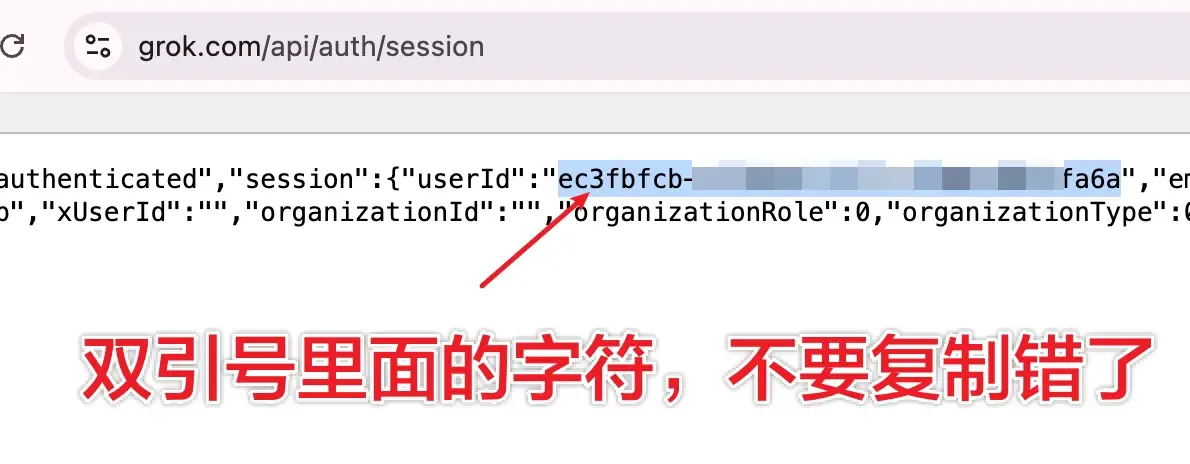 Grok Session 页面中的 userId 字段
